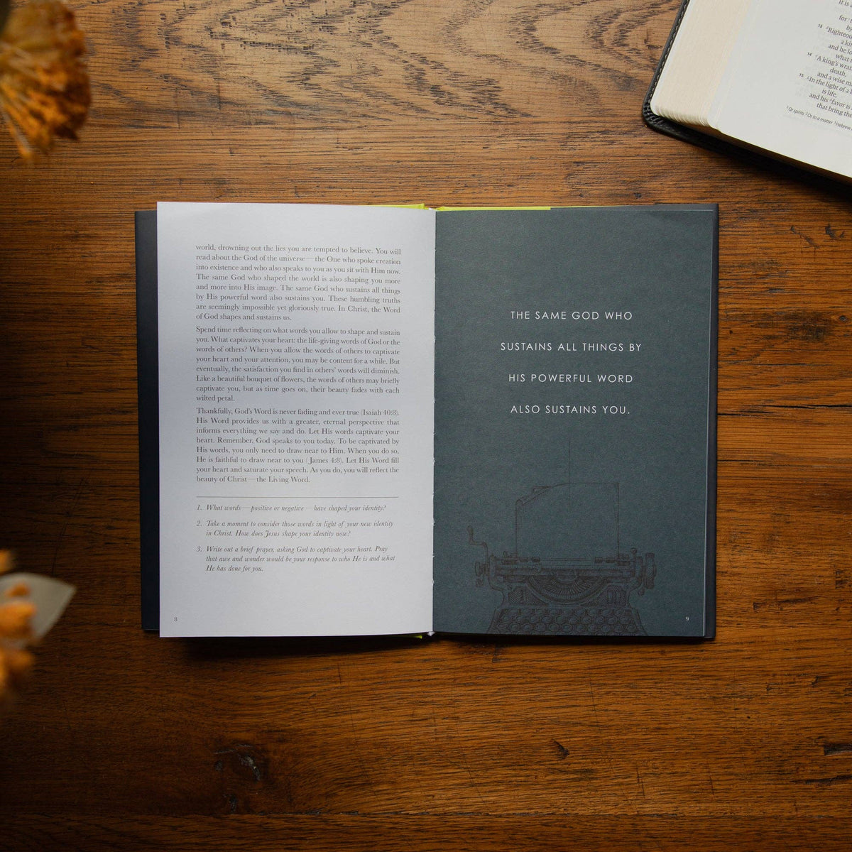 Sticks and Stones Hardcover Bible Study