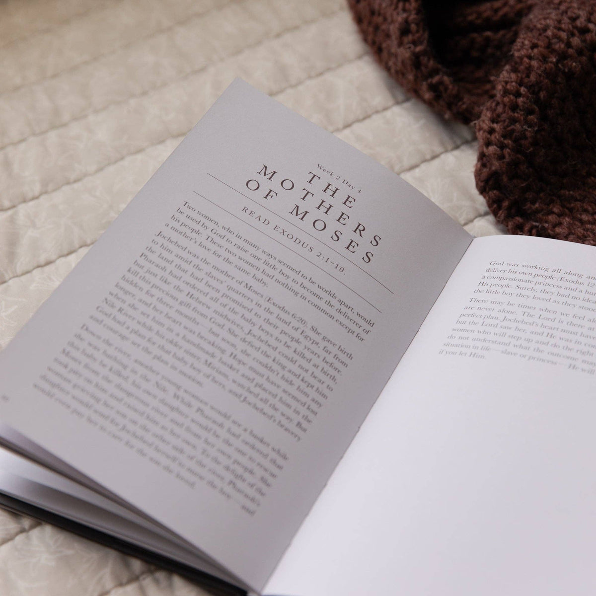 Daughters of Grace Hardcover Bible Study