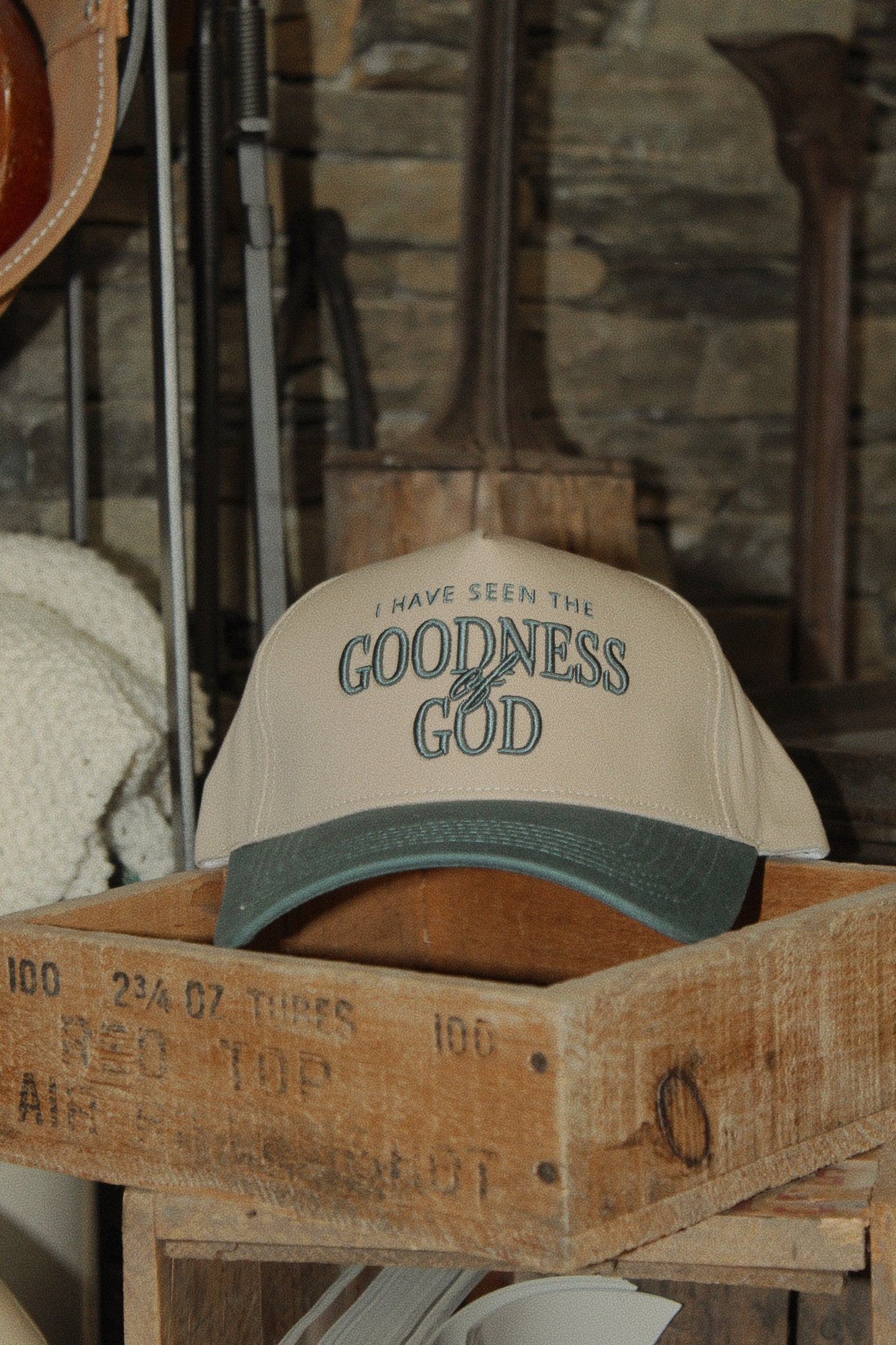 I Have Seen the Goodness of God Hat Regular