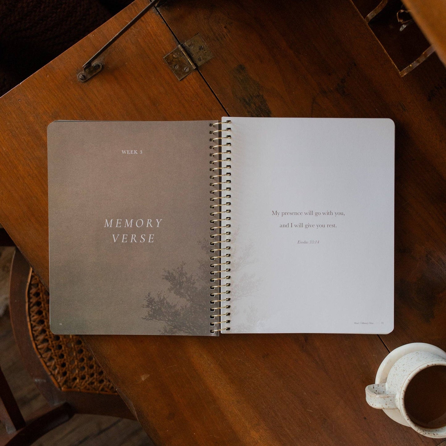 Made for Him Spiral Bible Study