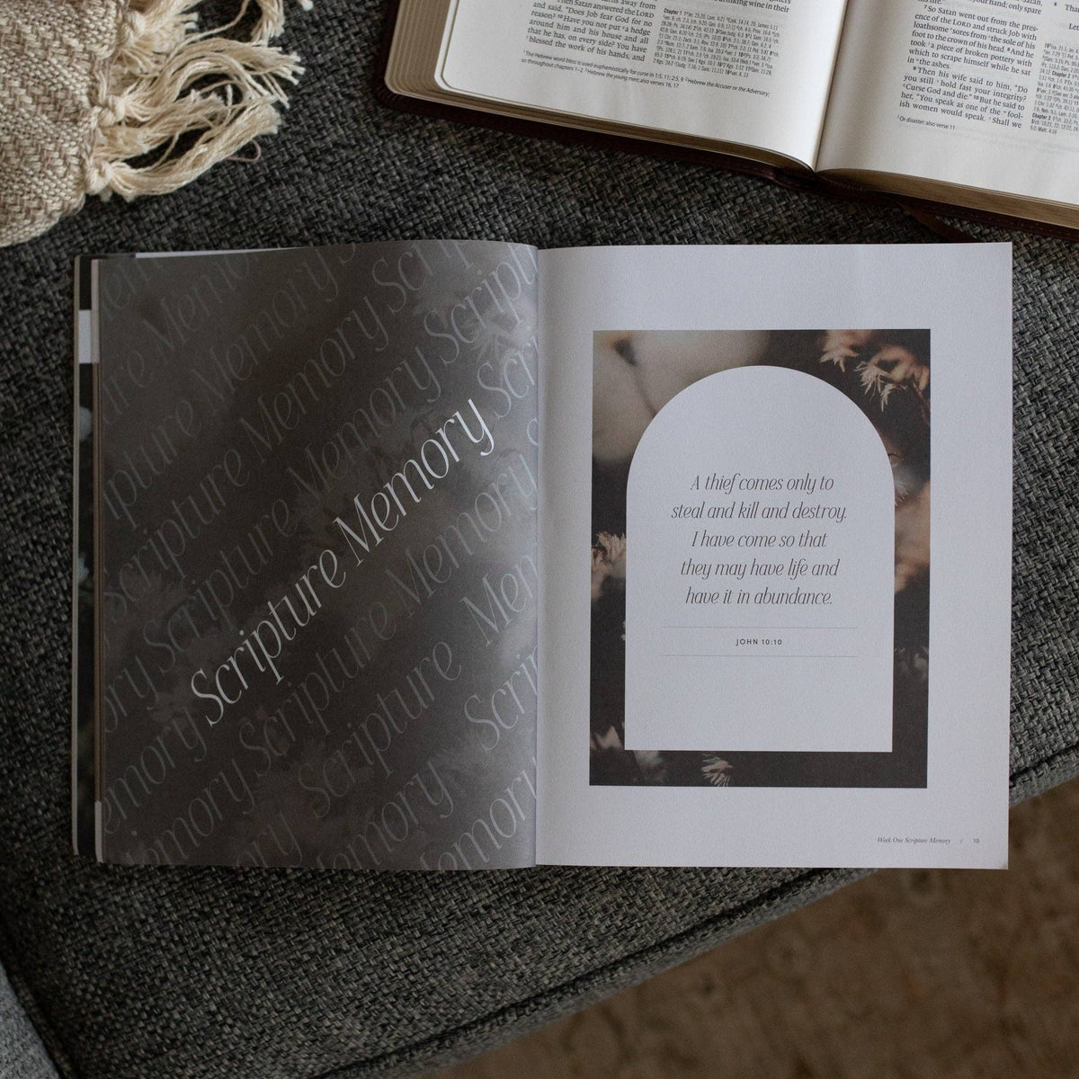 Holding to Hope When Life Falls Apart Journal
