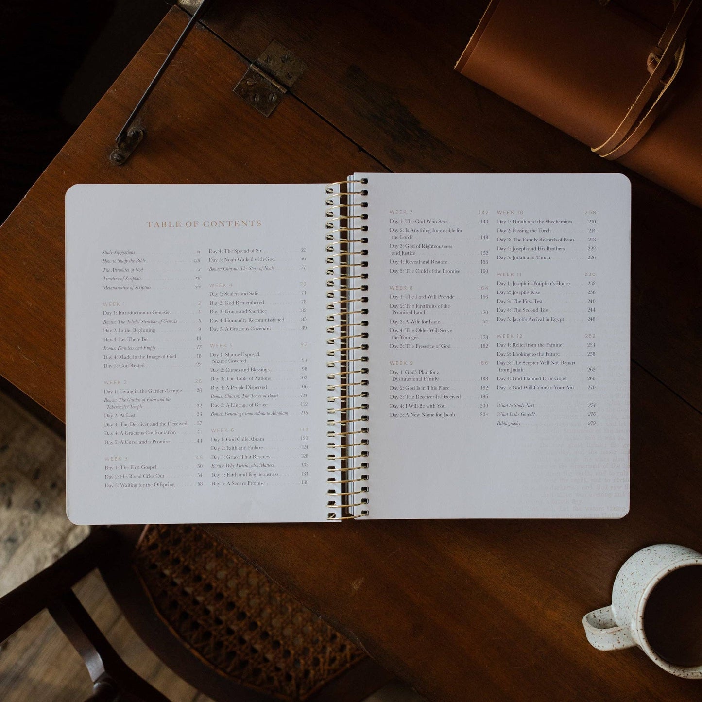 Genesis Spiral Bible Study