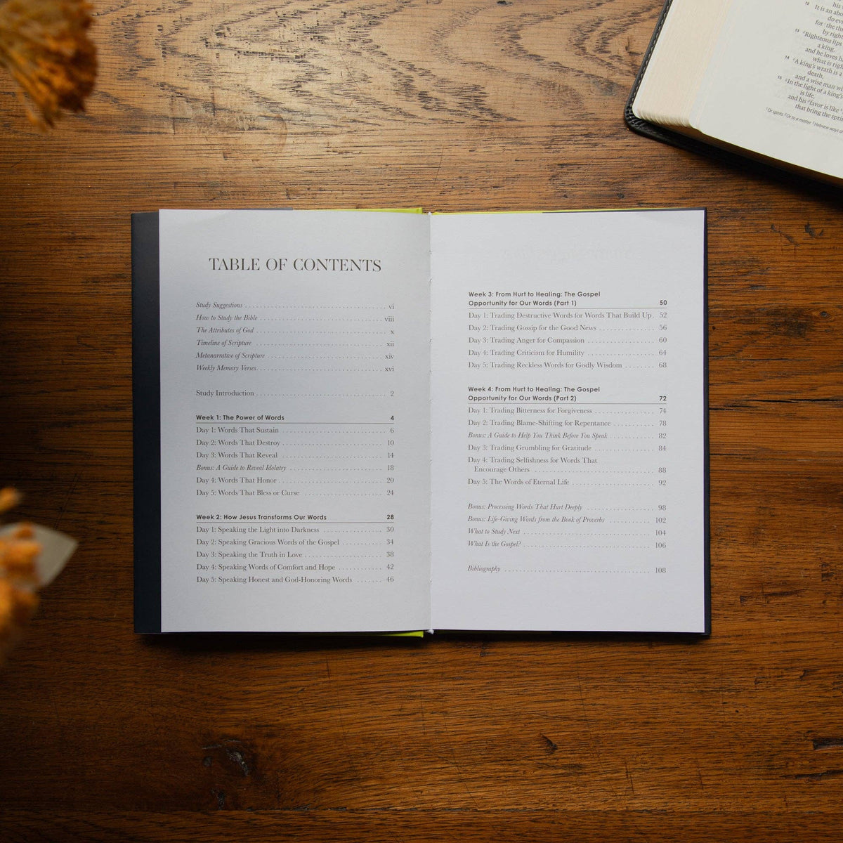 Sticks and Stones Hardcover Bible Study