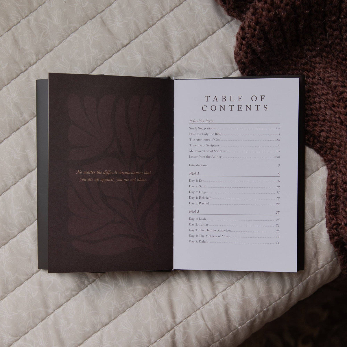Daughters of Grace Hardcover Bible Study