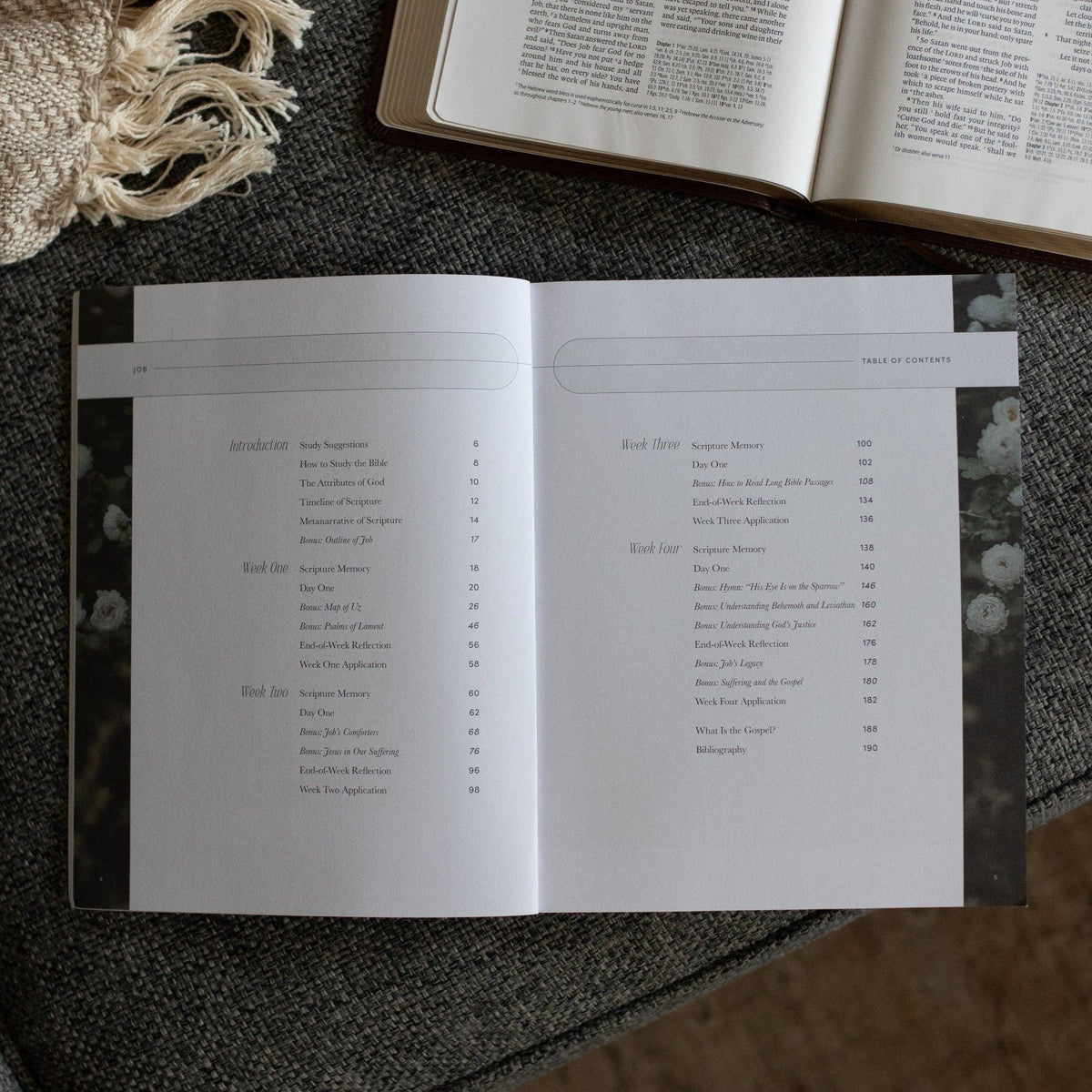 Holding to Hope When Life Falls Apart Journal