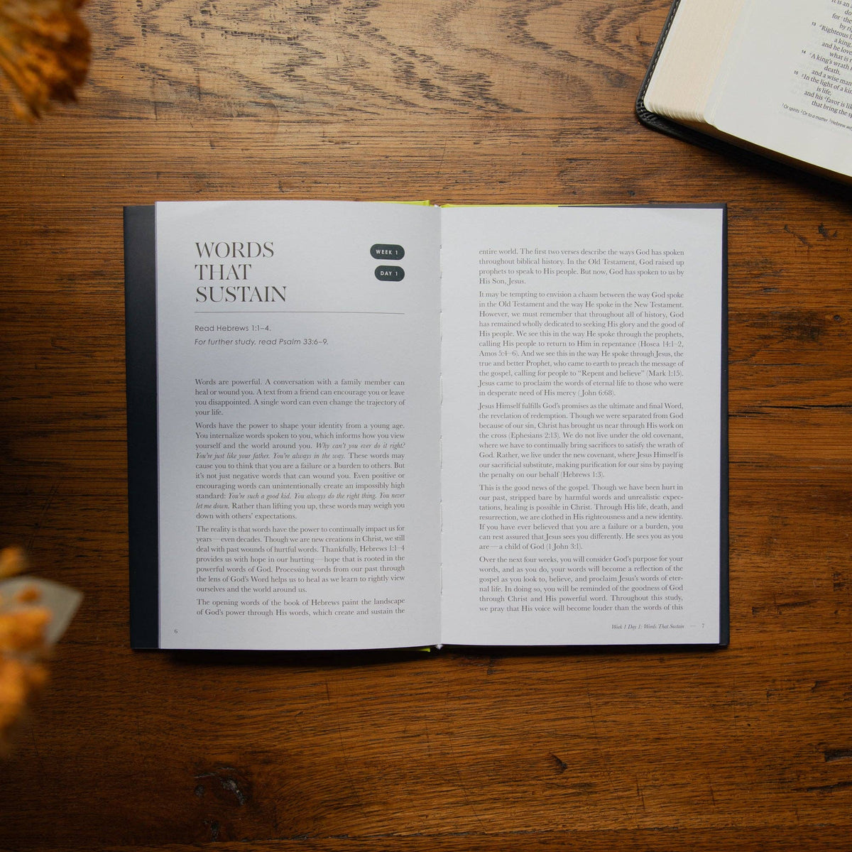 Sticks and Stones Hardcover Bible Study