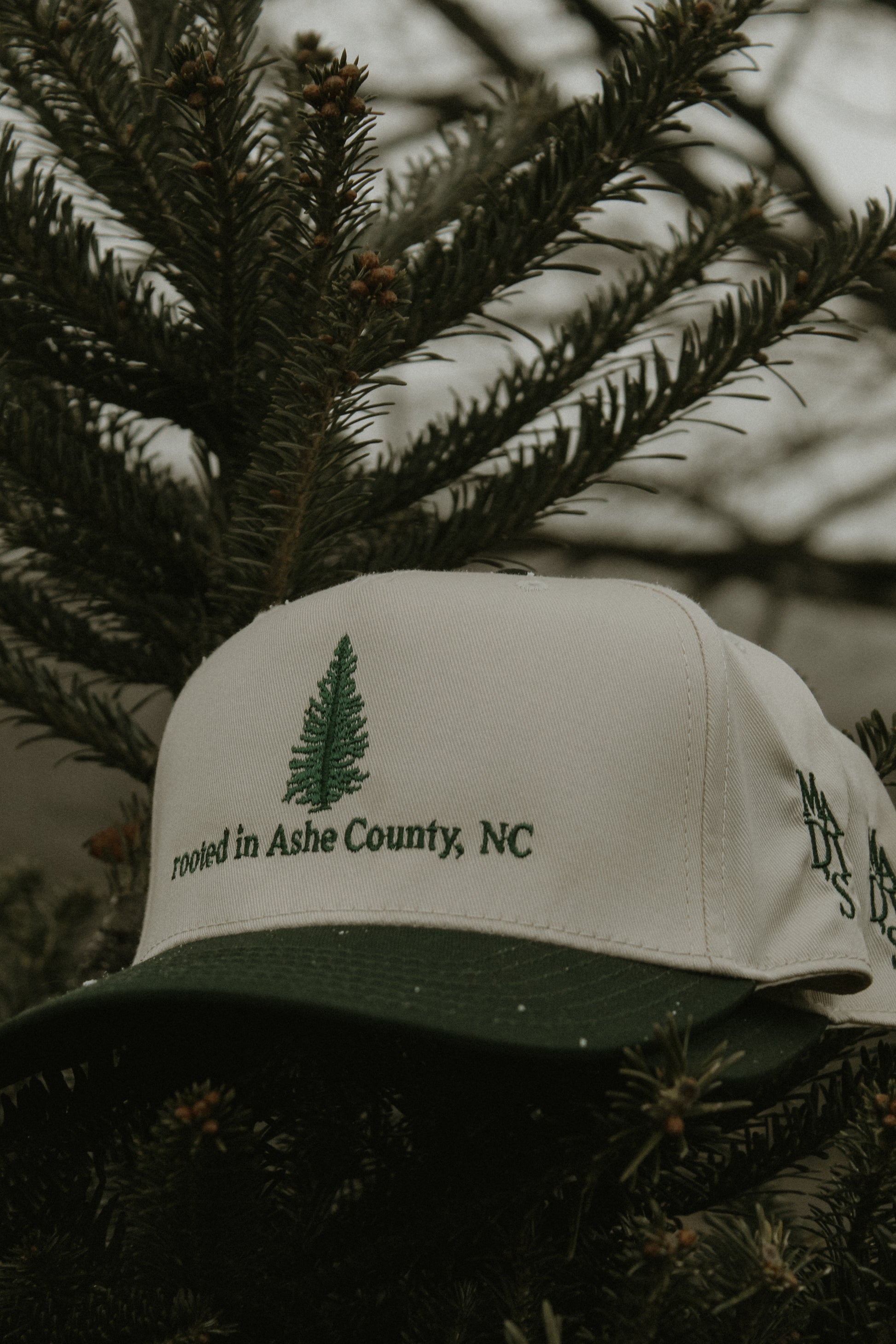 Rooted in Ashe County, NC Trucker