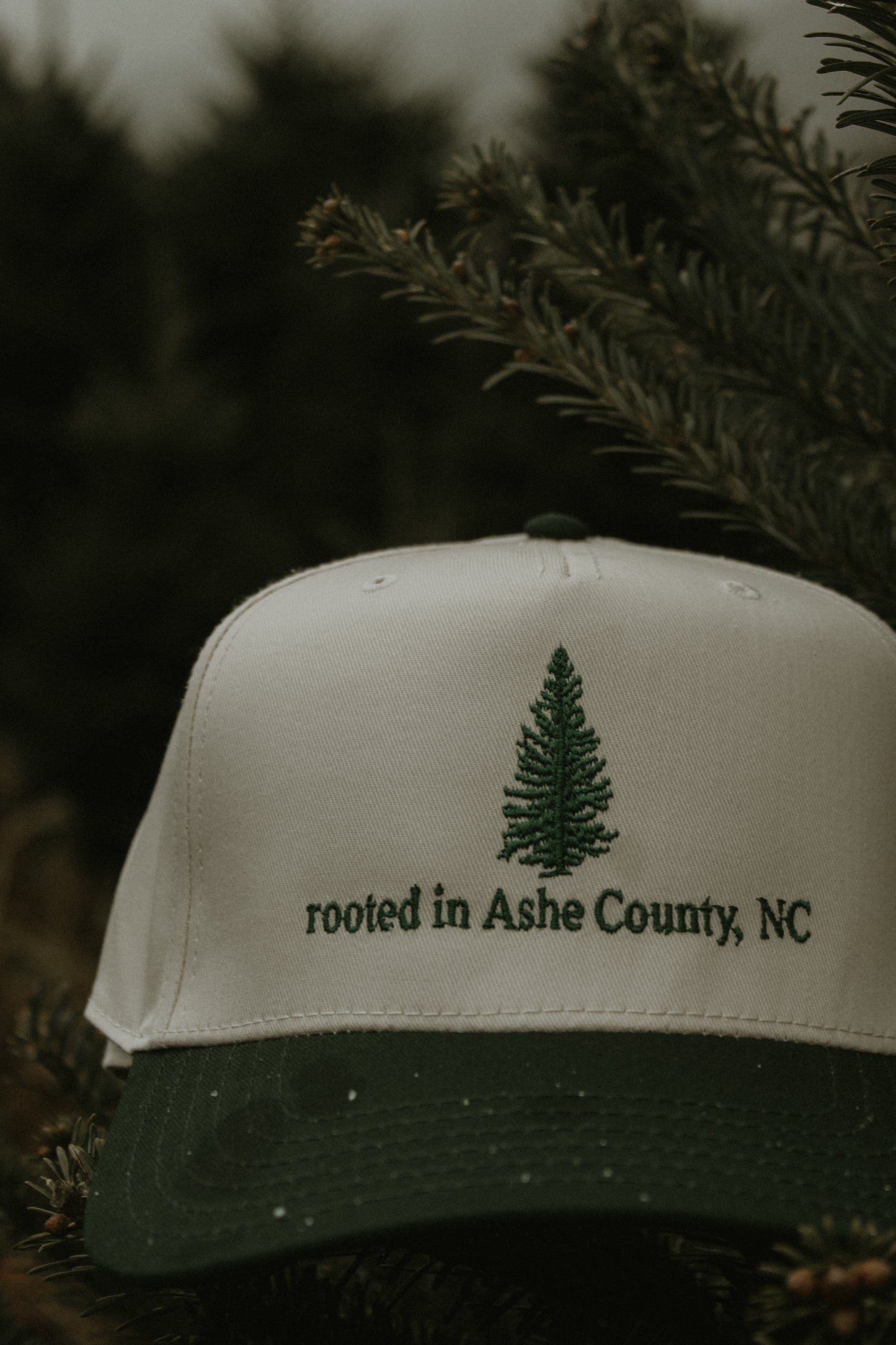 Rooted in Ashe County, NC Trucker Regular
