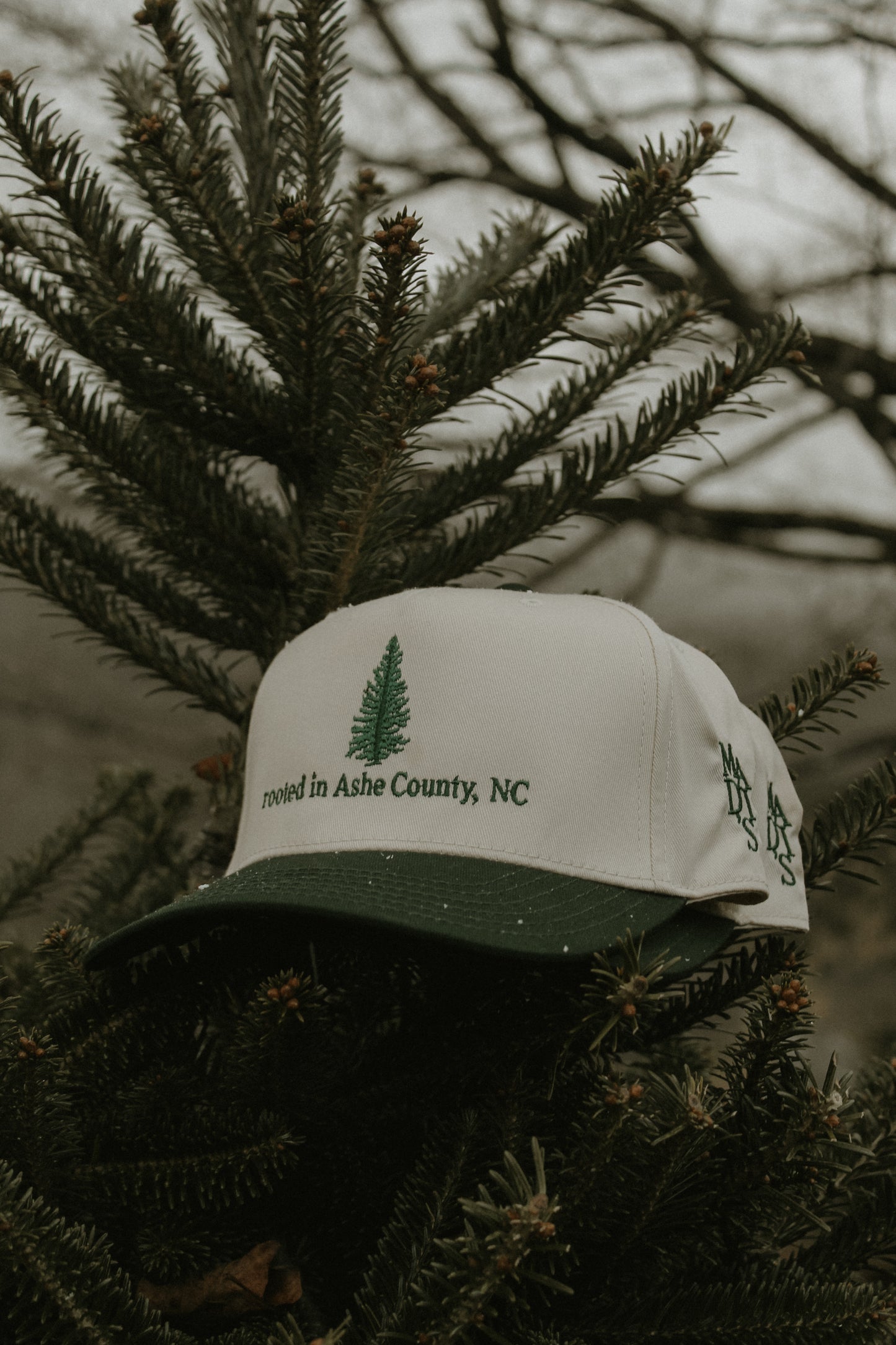 Rooted in Ashe County, NC Trucker Regular