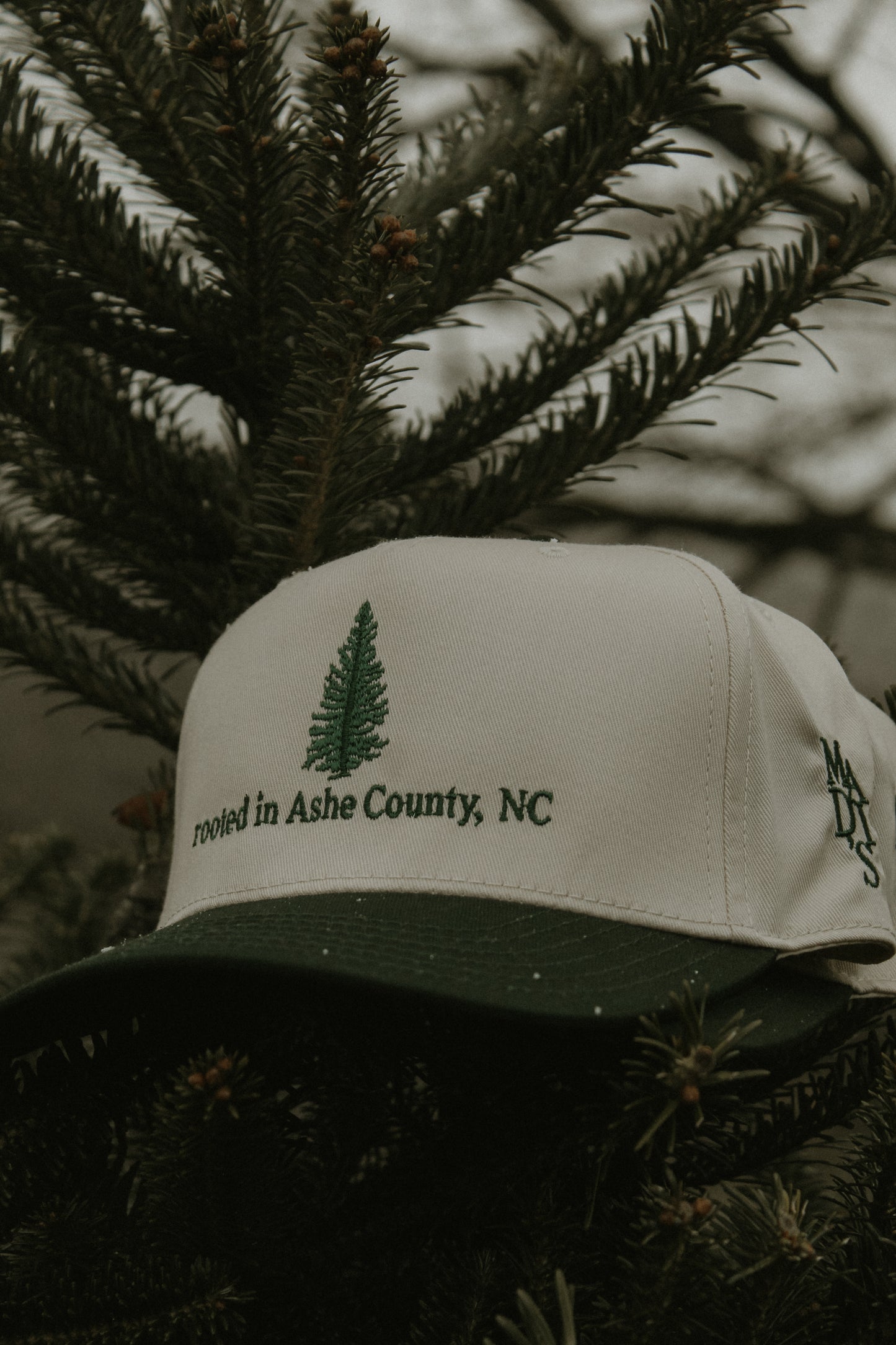 Rooted in Ashe County, NC Trucker Regular