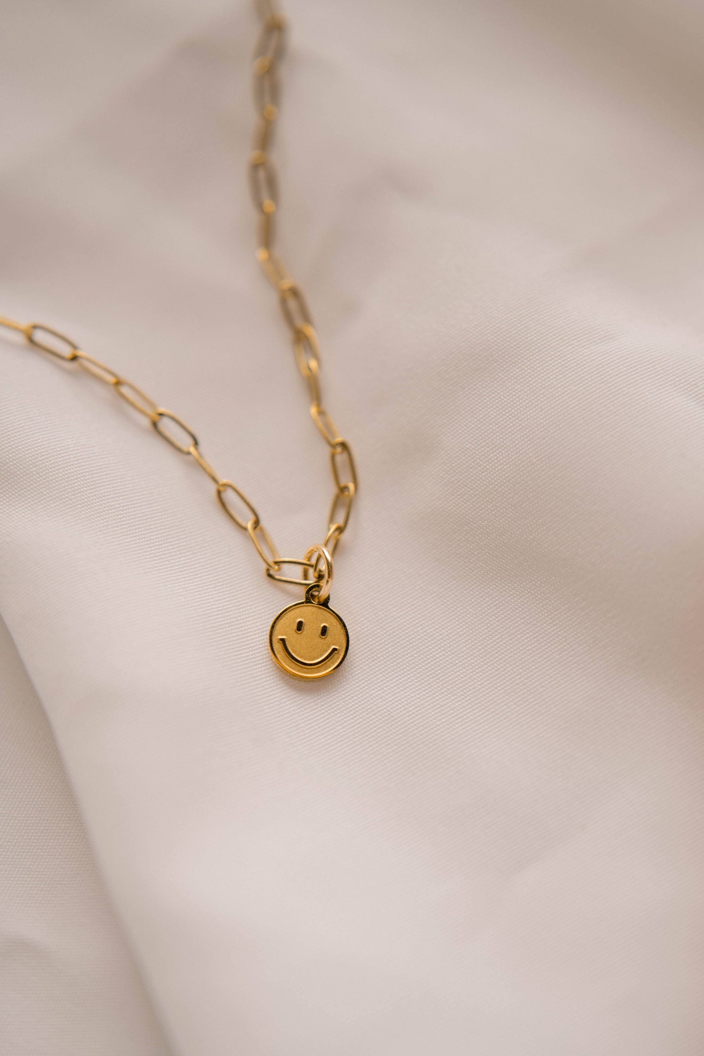 Dear Heart Fullness of Joy Charm Necklace Regular