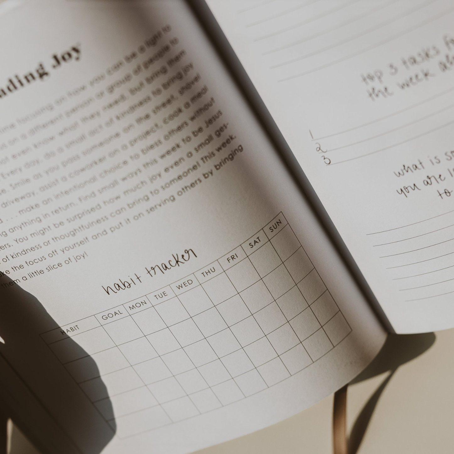 Inspirational Productivity Journal Regular