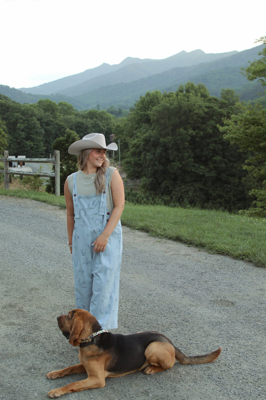 Western Print Overalls - Dusty Blue